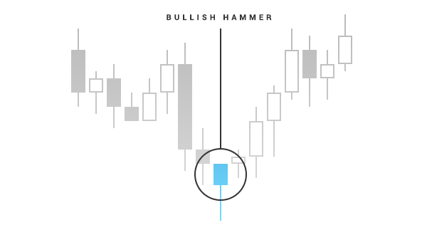 Bullish hammer